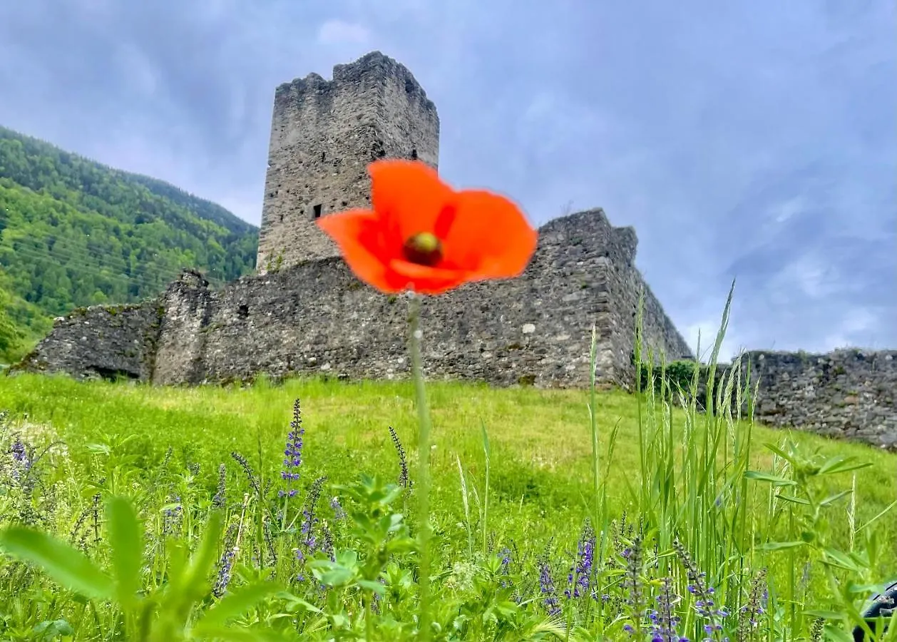 Alba Home Tirano