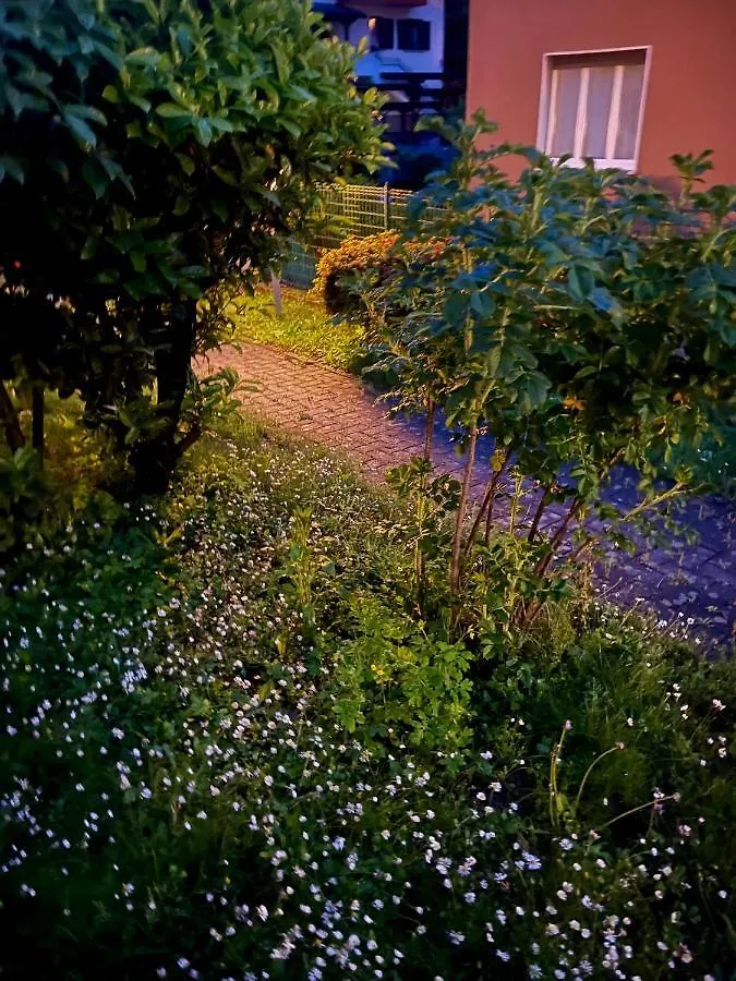 Alba Home Tirano Daire